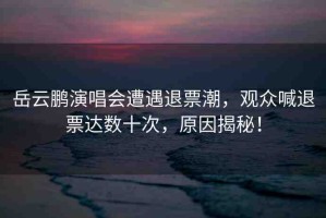 岳云鵬演唱會(huì)遭遇退票潮，觀眾喊退票達(dá)數(shù)十次，原因揭秘！