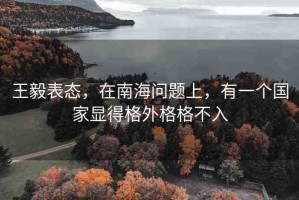 王毅表態(tài)，在南海問(wèn)題上，有一個(gè)國(guó)家顯得格外格格不入