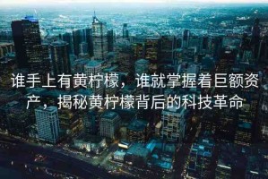 誰手上有黃檸檬，誰就掌握著巨額資產(chǎn)，揭秘黃檸檬背后的科技革命