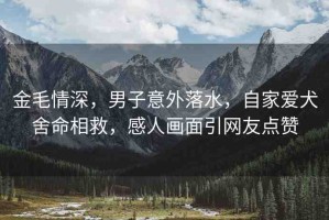 金毛情深，男子意外落水，自家愛犬舍命相救，感人畫面引網(wǎng)友點(diǎn)贊