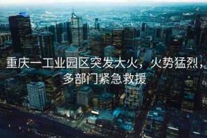 重慶一工業(yè)園區(qū)突發(fā)大火，火勢(shì)猛烈，多部門緊急救援