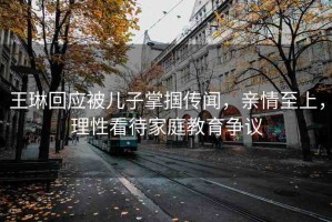 王琳回應(yīng)被兒子掌摑傳聞，親情至上，理性看待家庭教育爭議