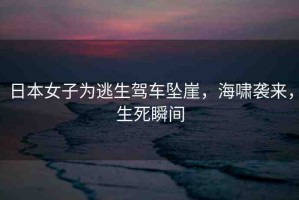 日本女子為逃生駕車墜崖，海嘯襲來，生死瞬間
