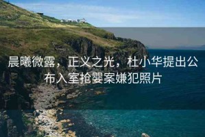 晨曦微露，正義之光，杜小華提出公布入室搶嬰案嫌犯照片