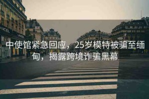 中使館緊急回應(yīng)，25歲模特被騙至緬甸，揭露跨境詐騙黑幕