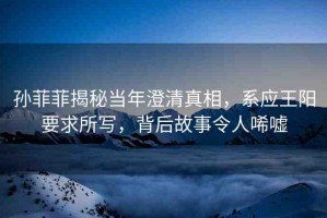 孫菲菲揭秘當(dāng)年澄清真相，系應(yīng)王陽(yáng)要求所寫，背后故事令人唏噓