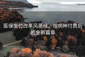 醫(yī)保支付改革風(fēng)景線，按病種付費(fèi)后的全新篇章