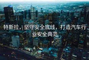 特斯拉，堅守安全底線，打造汽車行業(yè)安全典范