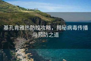 基孔肯雅熱防控攻略，揭秘病毒傳播與預(yù)防之道