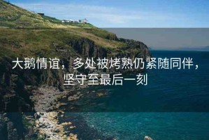 大鵝情誼，多處被烤熟仍緊隨同伴，堅(jiān)守至最后一刻