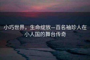 小巧世界，生命綻放—百名袖珍人在小人國(guó)的舞臺(tái)傳奇