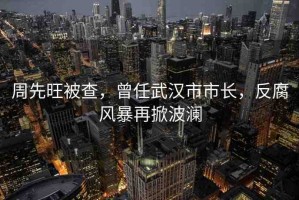 周先旺被查，曾任武漢市市長(zhǎng)，反腐風(fēng)暴再掀波瀾