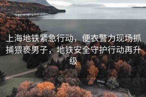 上海地鐵緊急行動，便衣警力現(xiàn)場抓捕猥褻男子，地鐵安全守護(hù)行動再升級