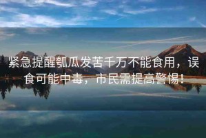 緊急提醒瓠瓜發(fā)苦千萬不能食用，誤食可能中毒，市民需提高警惕！