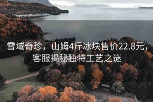 雪域奇珍，山姆4斤冰塊售價22.8元，客服揭秘獨特工藝之謎