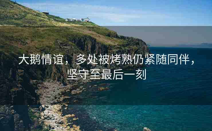 大鵝情誼，多處被烤熟仍緊隨同伴，堅(jiān)守至最后一刻