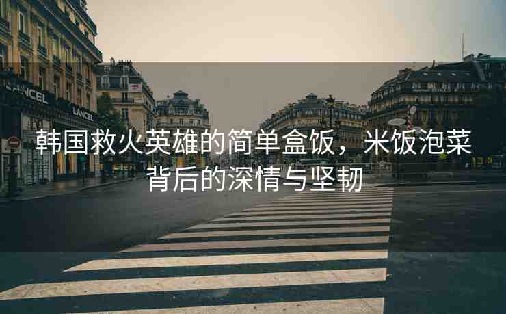 韓國救火英雄的簡單盒飯，米飯泡菜背后的深情與堅韌