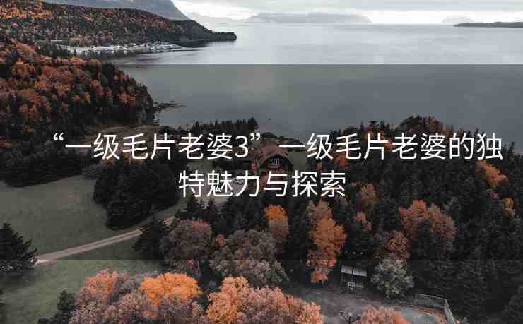 “一級毛片老婆3”一級毛片老婆的獨特魅力與探索