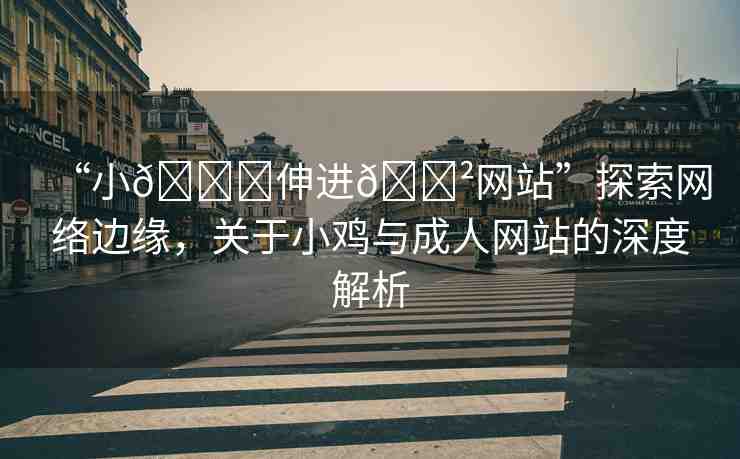 “小??伸進(jìn)??網(wǎng)站”探索網(wǎng)絡(luò)邊緣，關(guān)于小雞與成人網(wǎng)站的深度解析