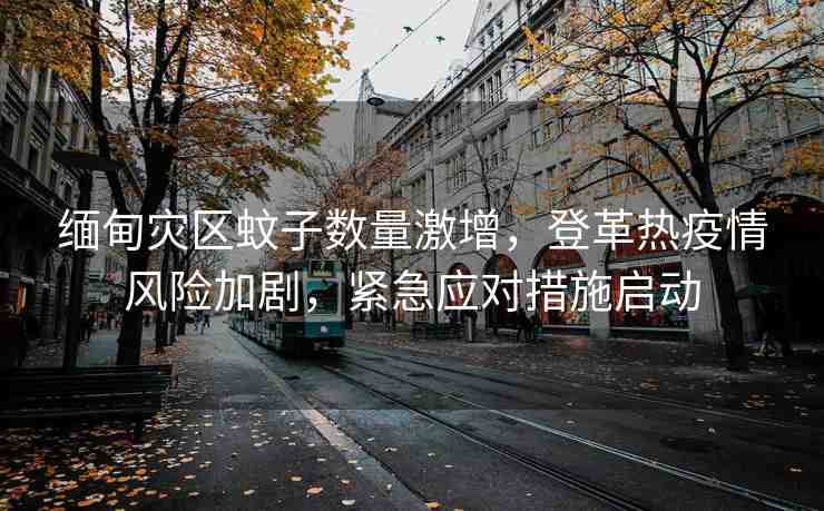 緬甸災區(qū)蚊子數量激增，登革熱疫情風險加劇，緊急應對措施啟動