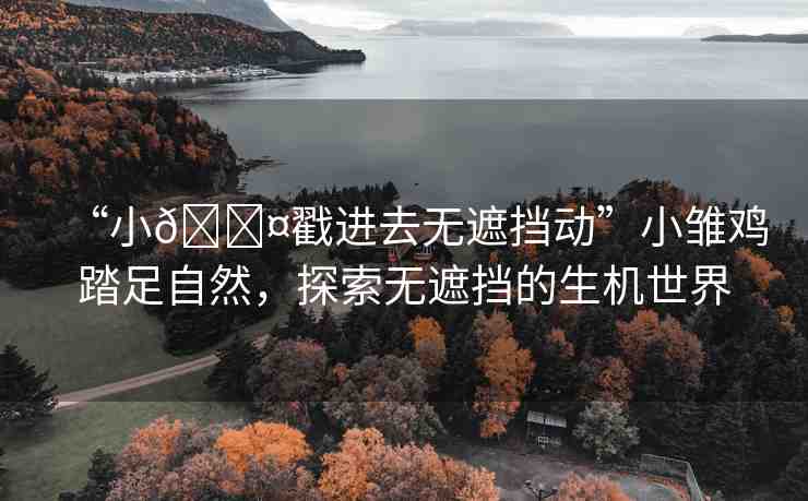 “小??戳進(jìn)去無(wú)遮擋動(dòng)”小雛雞踏足自然，探索無(wú)遮擋的生機(jī)世界