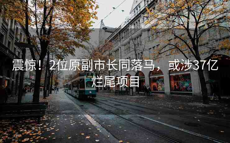 震驚！2位原副市長(zhǎng)同落馬，或涉37億爛尾項(xiàng)目