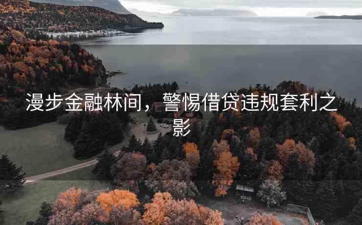 漫步金融林間，警惕借貸違規(guī)套利之影