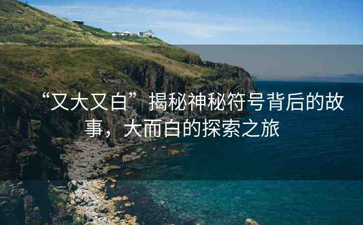 “又大又白”揭秘神秘符號(hào)背后的故事，大而白的探索之旅