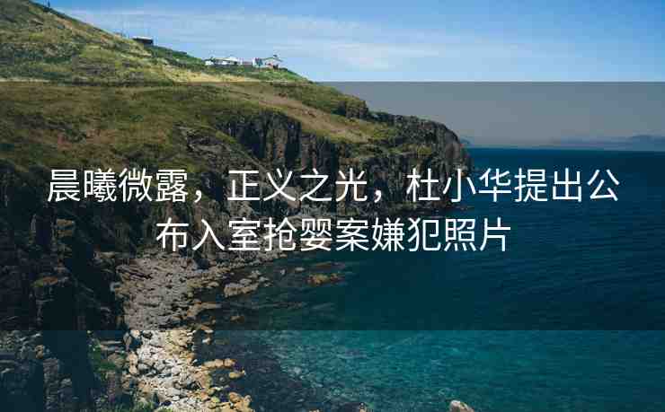 晨曦微露，正義之光，杜小華提出公布入室搶嬰案嫌犯照片