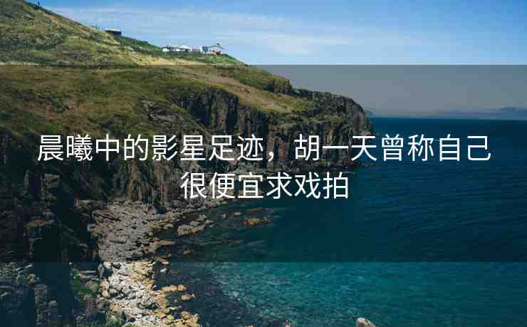 晨曦中的影星足跡，胡一天曾稱自己很便宜求戲拍