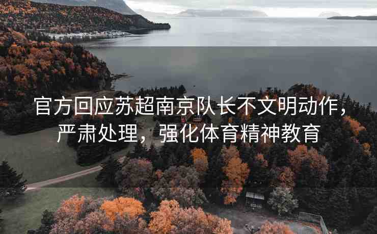 官方回應(yīng)蘇超南京隊長不文明動作，嚴(yán)肅處理，強化體育精神教育
