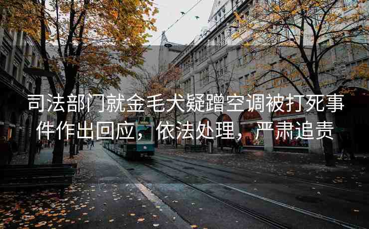 司法部門就金毛犬疑蹭空調(diào)被打死事件作出回應(yīng)，依法處理，嚴(yán)肅追責(zé)