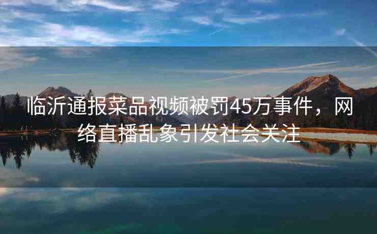 臨沂通報(bào)菜品視頻被罰45萬事件，網(wǎng)絡(luò)直播亂象引發(fā)社會(huì)關(guān)注