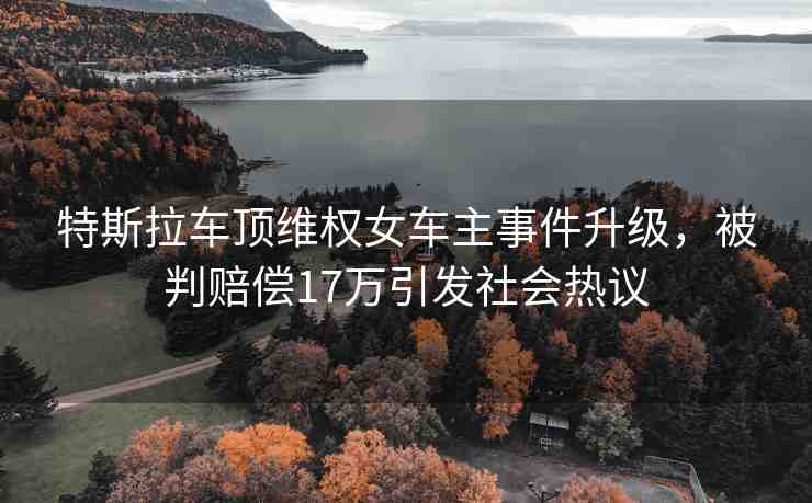 特斯拉車頂維權(quán)女車主事件升級(jí)，被判賠償17萬引發(fā)社會(huì)熱議