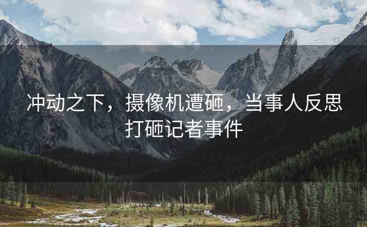 沖動(dòng)之下，攝像機(jī)遭砸，當(dāng)事人反思打砸記者事件
