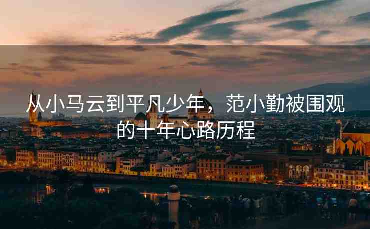 從小馬云到平凡少年，范小勤被圍觀的十年心路歷程