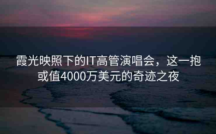 霞光映照下的IT高管演唱會(huì)，這一抱或值4000萬(wàn)美元的奇跡之夜