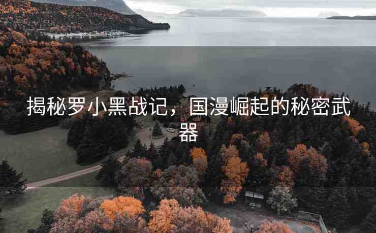 揭秘羅小黑戰(zhàn)記，國(guó)漫崛起的秘密武器