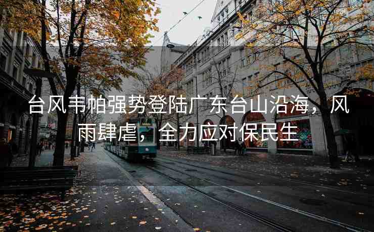 臺風(fēng)韋帕強勢登陸廣東臺山沿海，風(fēng)雨肆虐，全力應(yīng)對保民生