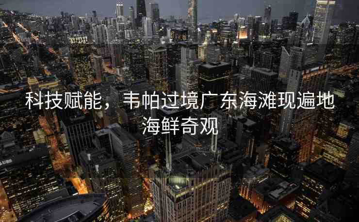 科技賦能，韋帕過境廣東海灘現(xiàn)遍地海鮮奇觀