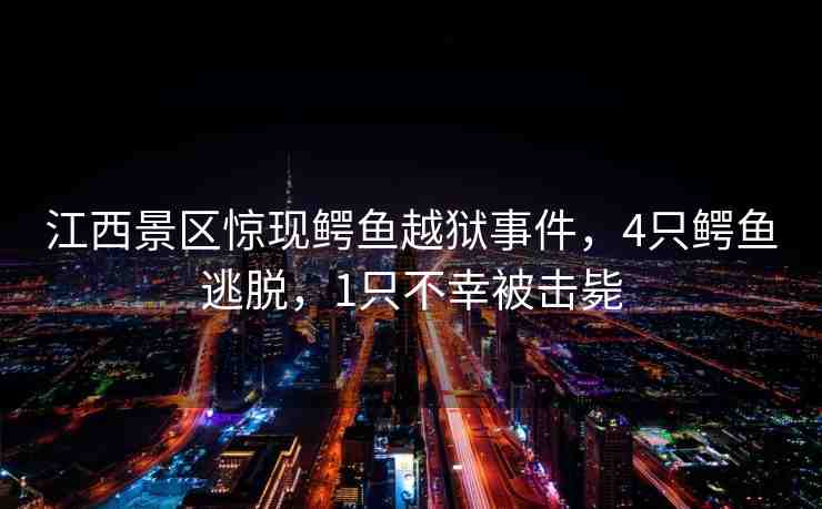 江西景區(qū)驚現(xiàn)鱷魚越獄事件，4只鱷魚逃脫，1只不幸被擊斃