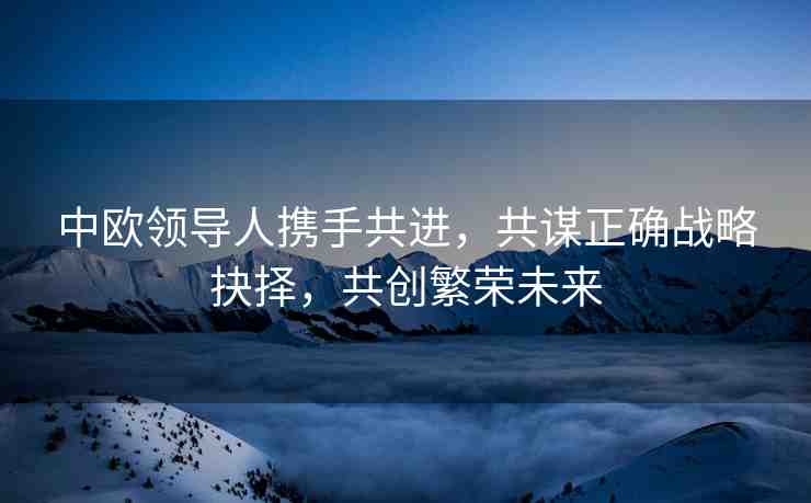 中歐領導人攜手共進，共謀正確戰(zhàn)略抉擇，共創(chuàng)繁榮未來