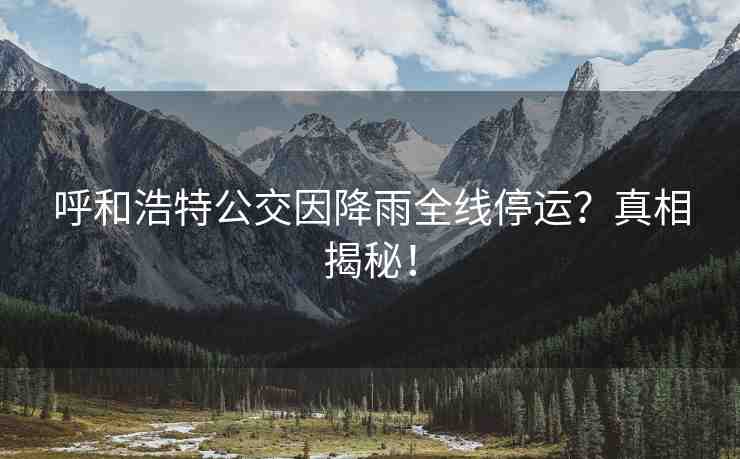 呼和浩特公交因降雨全線停運？真相揭秘！