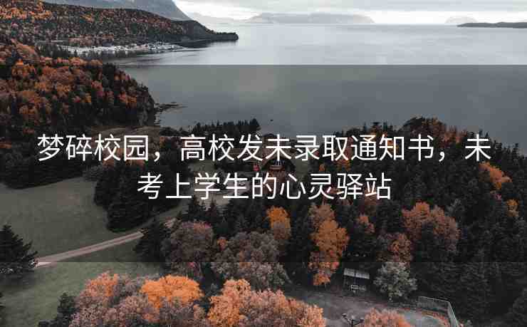 夢(mèng)碎校園，高校發(fā)未錄取通知書(shū)，未考上學(xué)生的心靈驛站