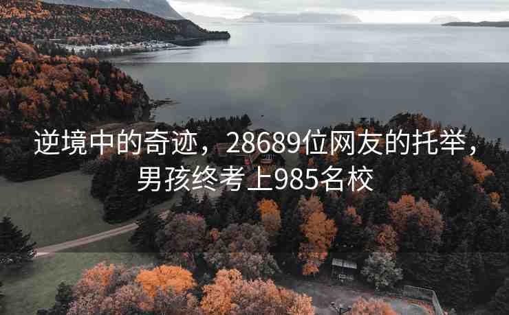 逆境中的奇跡，28689位網(wǎng)友的托舉，男孩終考上985名校