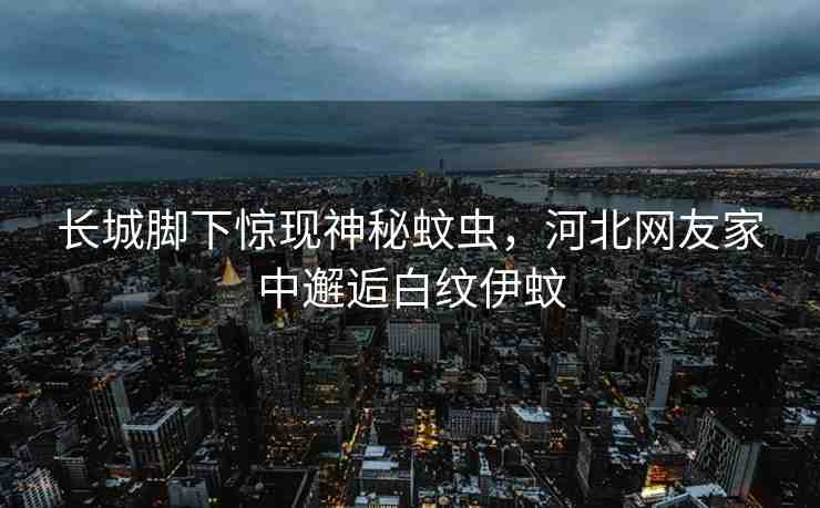 長(zhǎng)城腳下驚現(xiàn)神秘蚊蟲，河北網(wǎng)友家中邂逅白紋伊蚊
