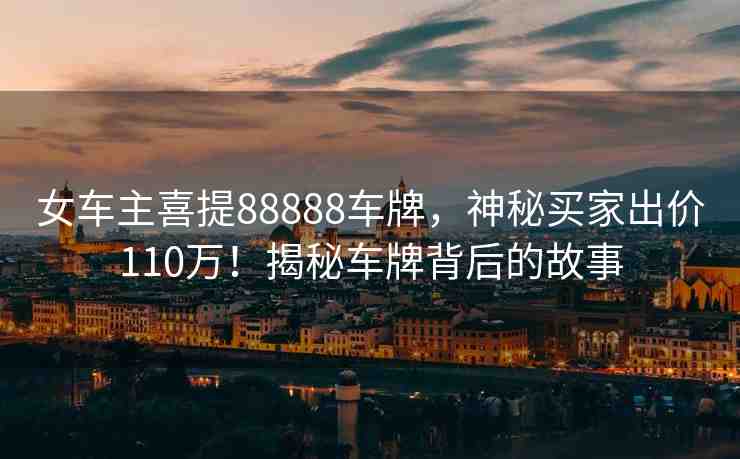 女車主喜提88888車牌，神秘買家出價(jià)110萬！揭秘車牌背后的故事