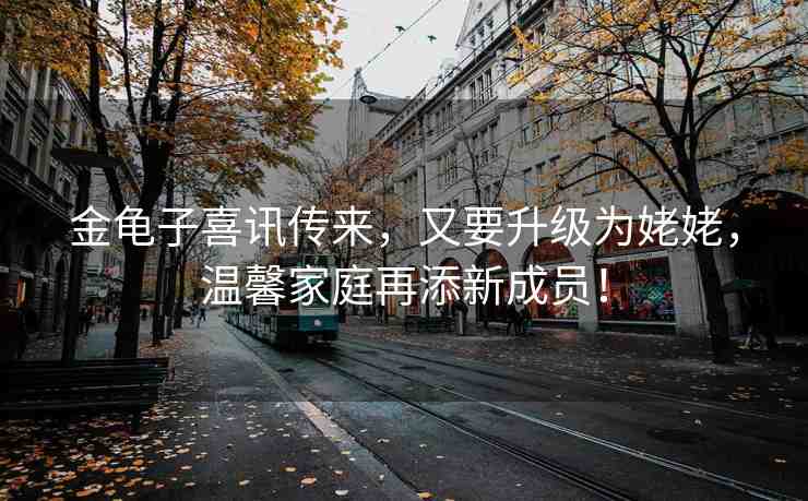 金龜子喜訊傳來，又要升級為姥姥，溫馨家庭再添新成員！