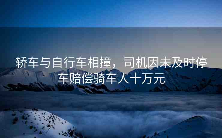 轎車(chē)與自行車(chē)相撞，司機(jī)因未及時(shí)停車(chē)賠償騎車(chē)人十萬(wàn)元