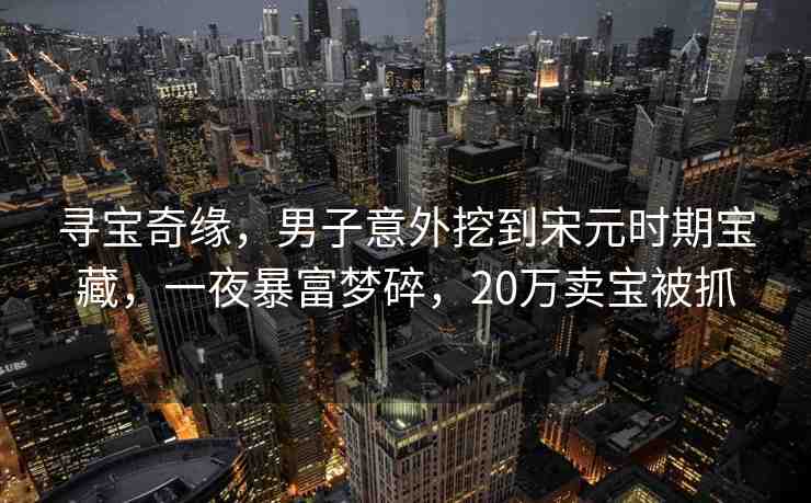 尋寶奇緣，男子意外挖到宋元時期寶藏，一夜暴富夢碎，20萬賣寶被抓